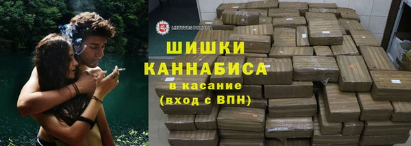 прущие грибы Осинники