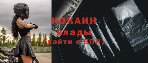 прущие грибы Осинники