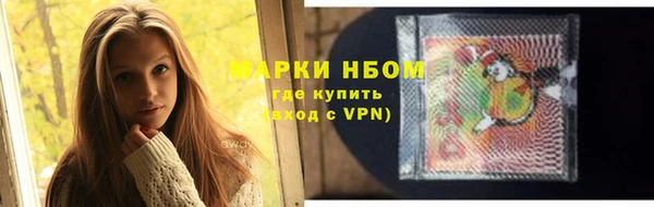 прущие грибы Осинники