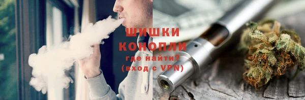 PSILOCYBIN Переславль-Залесский