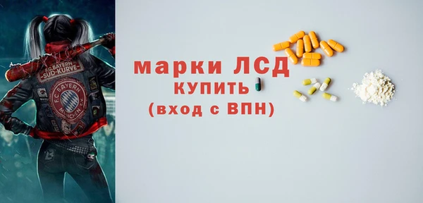 прущие грибы Осинники