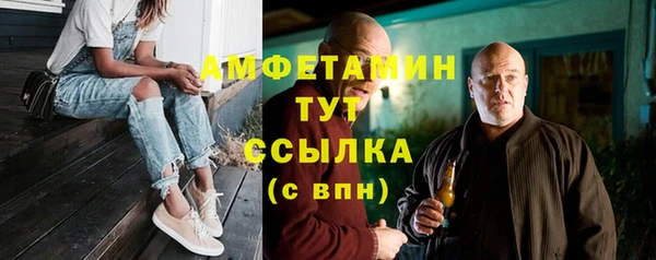 прущие грибы Осинники