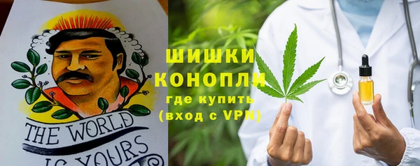 прущие грибы Осинники