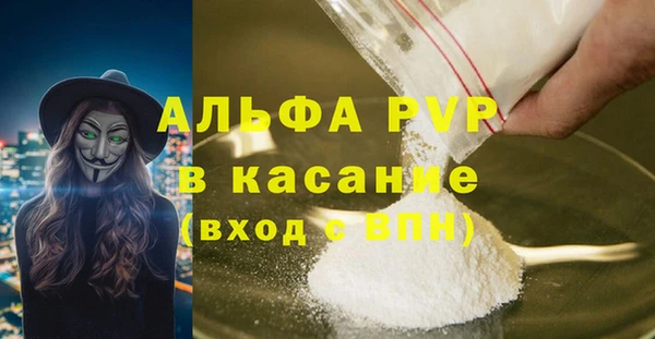 прущие грибы Осинники