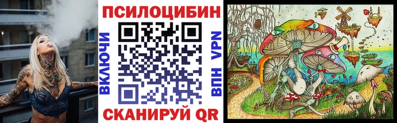 даркнет сайт  Курганинск  Галлюциногенные грибы прущие грибы 
