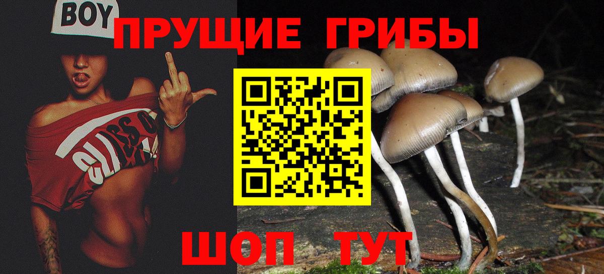 Псилоцибиновые грибы Magic Shrooms Курганинск