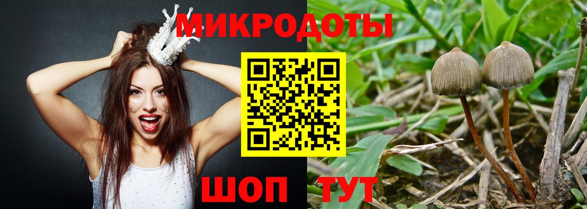 Псилоцибиновые грибы Magic Shrooms  Галлюциногенные грибы мицелий  Вход с VPN  Курганинск 